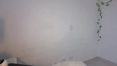 Steven  e online show from 13, 11, 2025