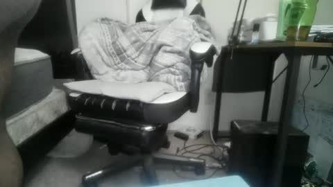 11inchtattedtrinibad online show from 17, 2, 2026