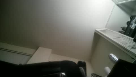 11inchtattedtrinibad online show from 24, 3, 2026