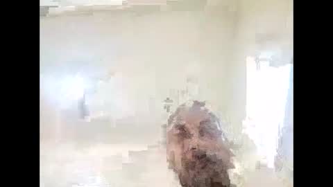 155decuzinho online show from 12, 11, 2025