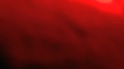 rockhead1953 online show from 12, 2, 2026