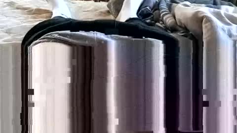 1injecttoys_ online show from 7, 3, 2026