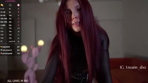 Snapshot of 1mari_01 chatting on 17, 1, 2026 Marie online show from 17, 1, 2026