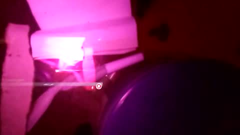 Snapshot of 1st___ chatting on 25, 11, 2025 1st___ online show from 25, 11, 2025