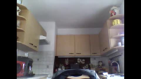 20x5cmgermanlongdong online show from 8, 1, 2025