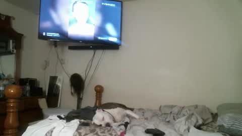 247dic online show from 28, 4, 2026