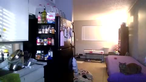 2girls1link online show from 31, 12, 2024