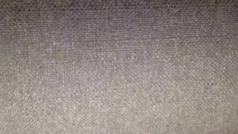 30nick online show from 12, 2, 2026