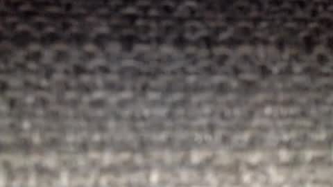 30nick online show from 19, 2, 2026