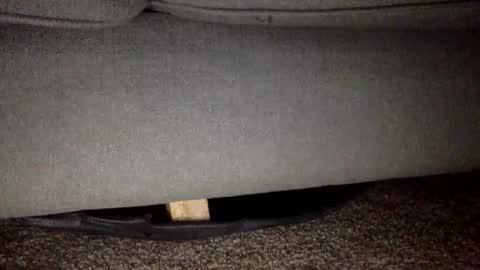 30nick online show from 25, 2, 2026