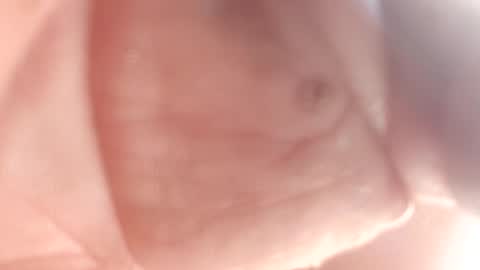 Thisguy online show from 12, 2, 2025