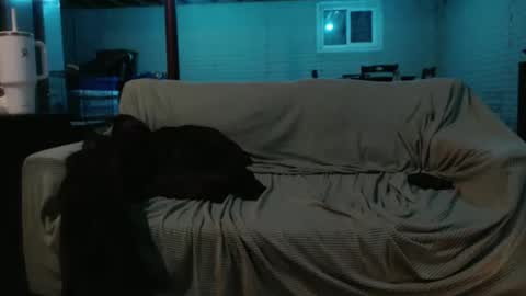 Snapshot of 420bunnie chatting on 26, 2, 2025 420bunnie online show from 26, 2, 2025