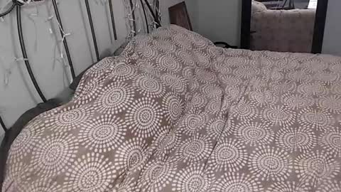 Snapshot of 420kc_couple chatting on 30, 5, 2026 KC420Couple online show from 30, 5, 2026