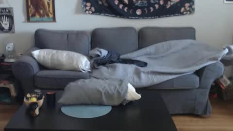 Snapshot of 420randomguy chatting on 13, 3, 2026 Anomander Rake online show from 13, 3, 2026