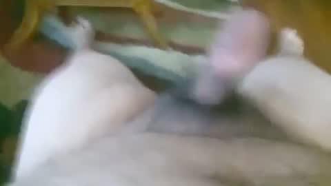 5tone_bon3 online show from 5, 1, 2025