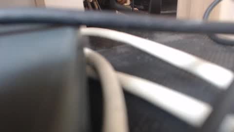 64293boy online show from 13, 1, 2026