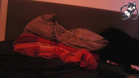 Snapshot of 666horny_boy999 chatting on 29, 12, 2024 Shady online show from 29, 12, 2024