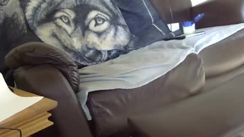 Snapshot of 66bear chatting on 9, 3, 2026 66bear online show from 9, 3, 2026