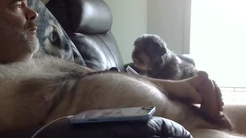 Snapshot of 66bear chatting on 31, 5, 2026 66bear online show from 31, 5, 2026