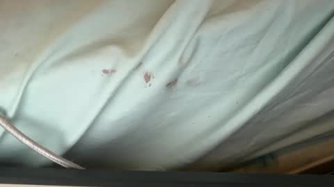 Snapshot of 69j0hndo chatting on 12, 9, 2025 FUCKR online show from 12, 9, 2025