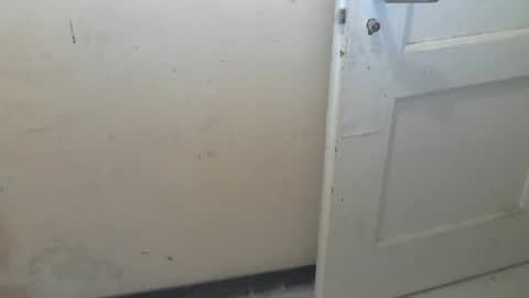 69pifpaf online show from 31, 1, 2025