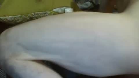 Snapshot of 69sextoyboy69 chatting on 2, 1, 2025 69sextoyboy69 online show from 2, 1, 2025