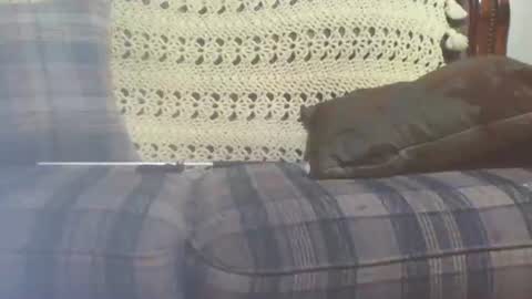 Snapshot of 69sextoyboy69 chatting on 25, 1, 2025 69sextoyboy69 online show from 25, 1, 2025