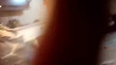 7lairddip online show from 6, 10, 2025