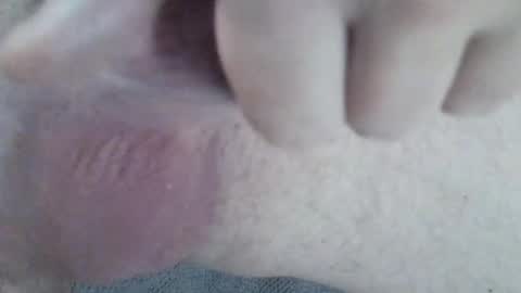 Snapshot of 81_harterschwanz chatting on 2, 12, 2024 Maximilian Max online show from 2, 12, 2024