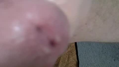 Snapshot of 81_harterschwanz chatting on 13, 12, 2024 Maximilian Max online show from 13, 12, 2024