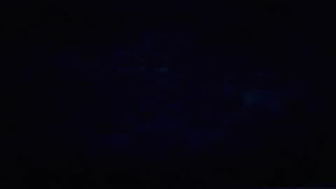 Bet online show from 23, 11, 2025