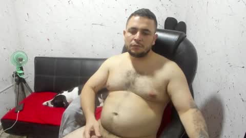 Snapshot of _ace_ventura chatting on 14, 2, 2026 ---- online show from 14, 2, 2026