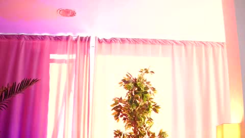 Snapshot of _arielle chatting on 14, 2, 2025 Arielle online show from 14, 2, 2025