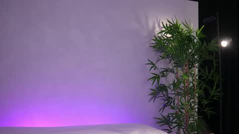 Snapshot of _arielle chatting on 20, 3, 2026 Arielle online show from 20, 3, 2026