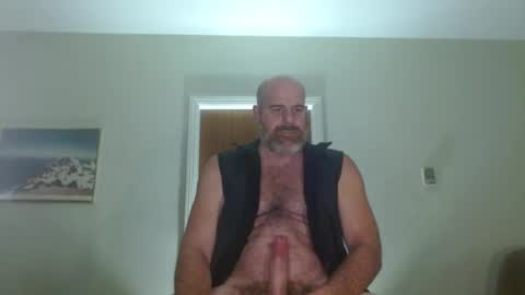 Bacchus online show from 7, 7, 2026