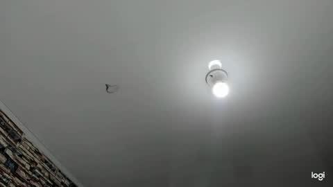 _casandra11 online show from 23, 1, 2025