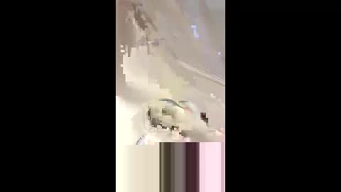 Da d1ck online show from 2, 3, 2025