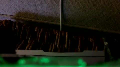 Snapshot of _frankensquirter___ chatting on 6, 2, 2026 Rex online show from 6, 2, 2026