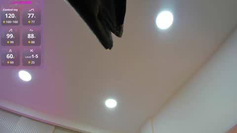 Snapshot of _jasmine_blush chatting on 13, 6, 2026 Jasmine online show from 13, 6, 2026