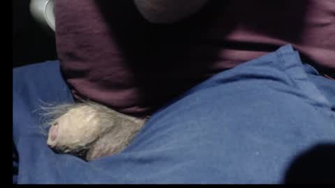 _jimmini online show from 12, 2, 2026