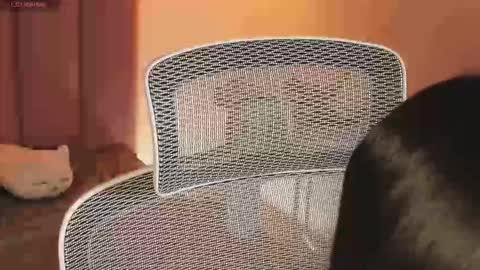 _kata online show from 20, 12, 2025