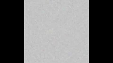 _maccaa_ online show from 18, 12, 2025