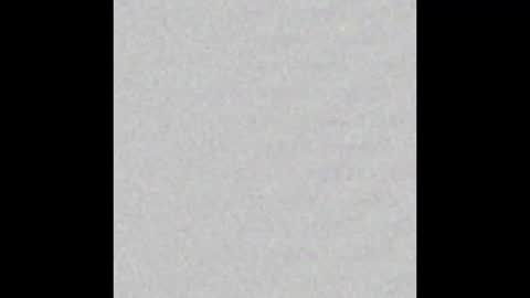 _maccaa_ online show from 8, 1, 2026