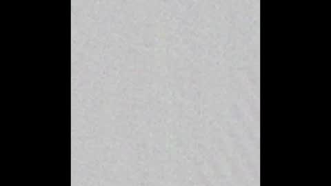 _maccaa_ online show from 10, 1, 2026