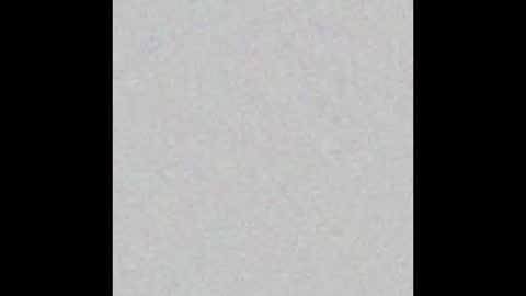 _maccaa_ online show from 12, 1, 2026