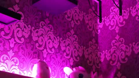 Stream  at  am in MoscowI am waiting for you very much3 online show from 23, 2, 2025