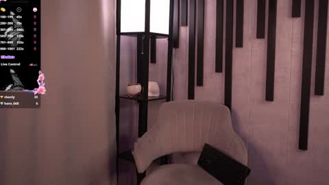 Snapshot of _msmarvel chatting on 21, 1, 2025 _msmarvel online show from 21, 1, 2025