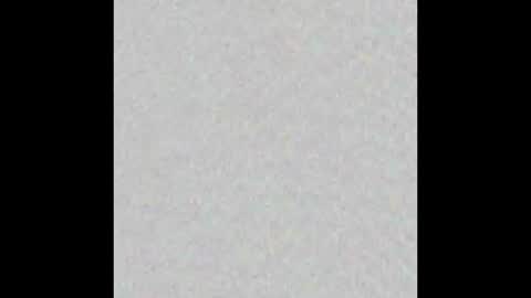 _tammarra_ online show from 6, 1, 2026