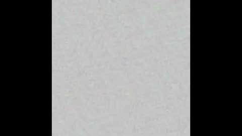 Snapshot of _tammarra_ chatting on 3, 2, 2026 _tammarra_ online show from 3, 2, 2026