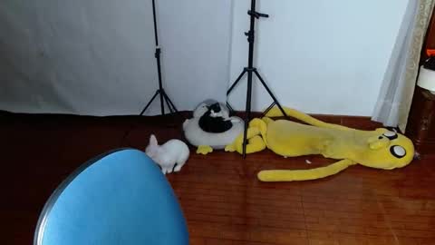 Snapshot of _the_dark_side_of_the_moon_ chatting on 19, 3, 2026 _the_dark_side_of_the_moon_ online show from 19, 3, 2026